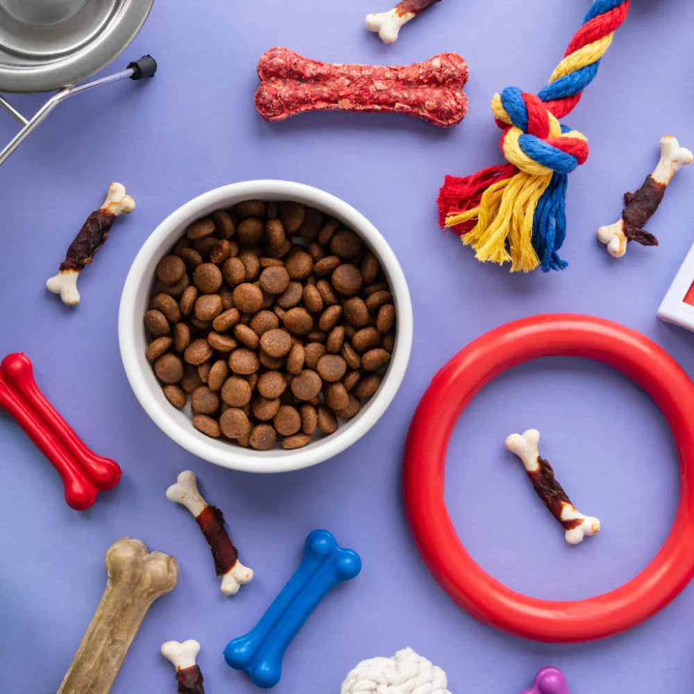 Pet Supplies