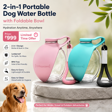 2-in-1 Portable Dog Water Bottle with Foldable Bowl
